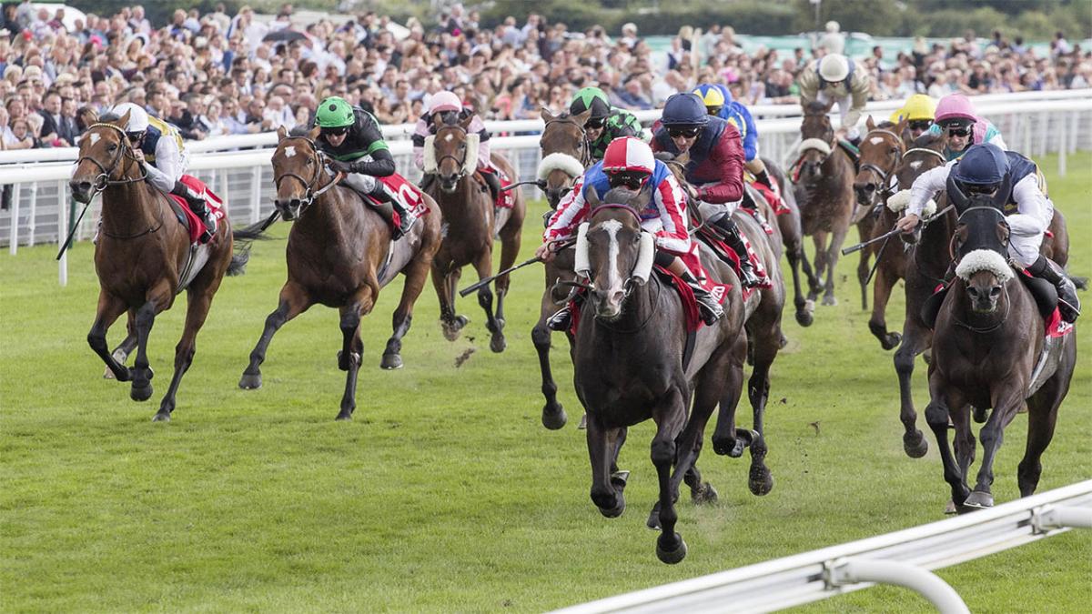 Considered how useful your knowledge of sport could be whilst trading?